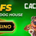 Кактус казино бездепозитный бонус